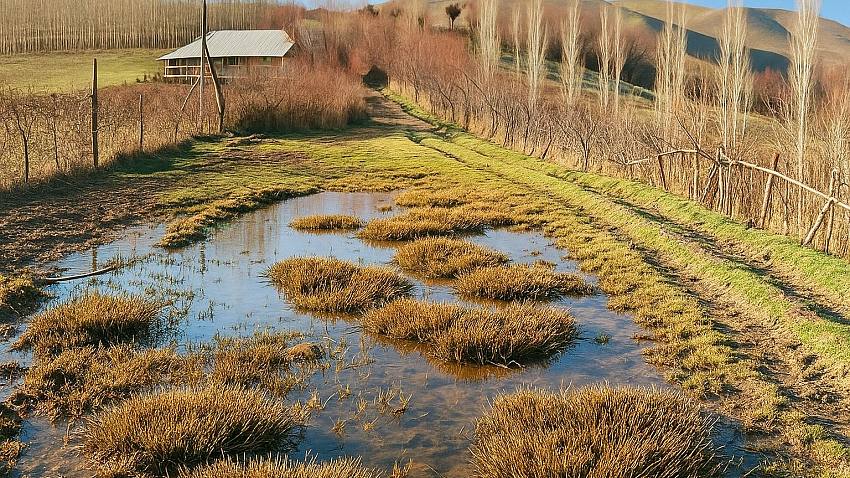 Зачем нужна дренажная система?