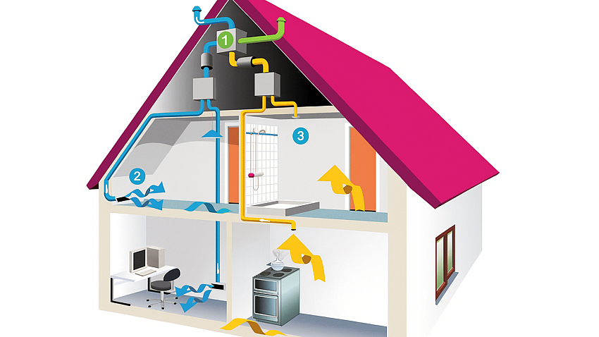 Подарите вашему дому хорошие легкие!